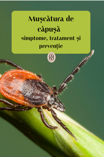 Mușcătura de Căpușă: simptome, tratament și prevenție 125 Muscatura de capuse simptome 1 uai