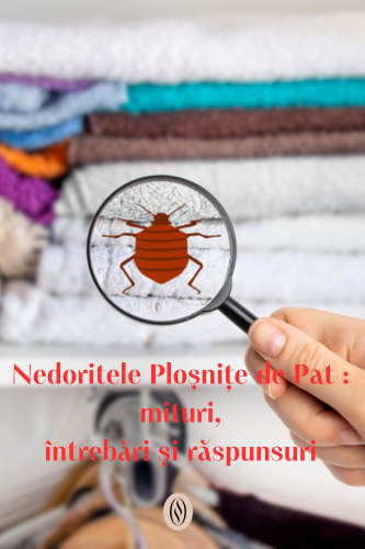 Nedoritele Ploșnițe de Pat : mituri, întrebări și răspunsuri 122 Ploșnitele de pat mituri, întrebări și răspunsuri