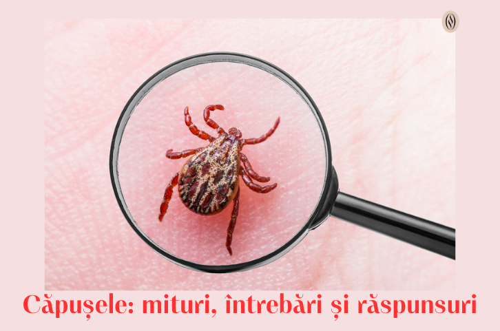 Căpușele: mituri, întrebări și răspunsuri 1 capusele intrebari si raspunsuri