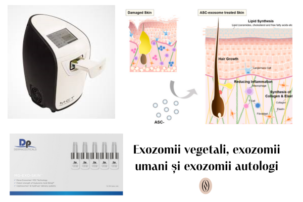 Exozomii vegetali, exozomii umani și exozomii autologi