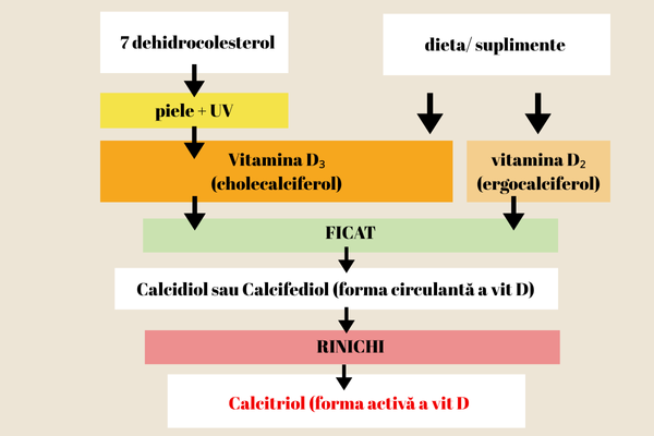 vitamina D