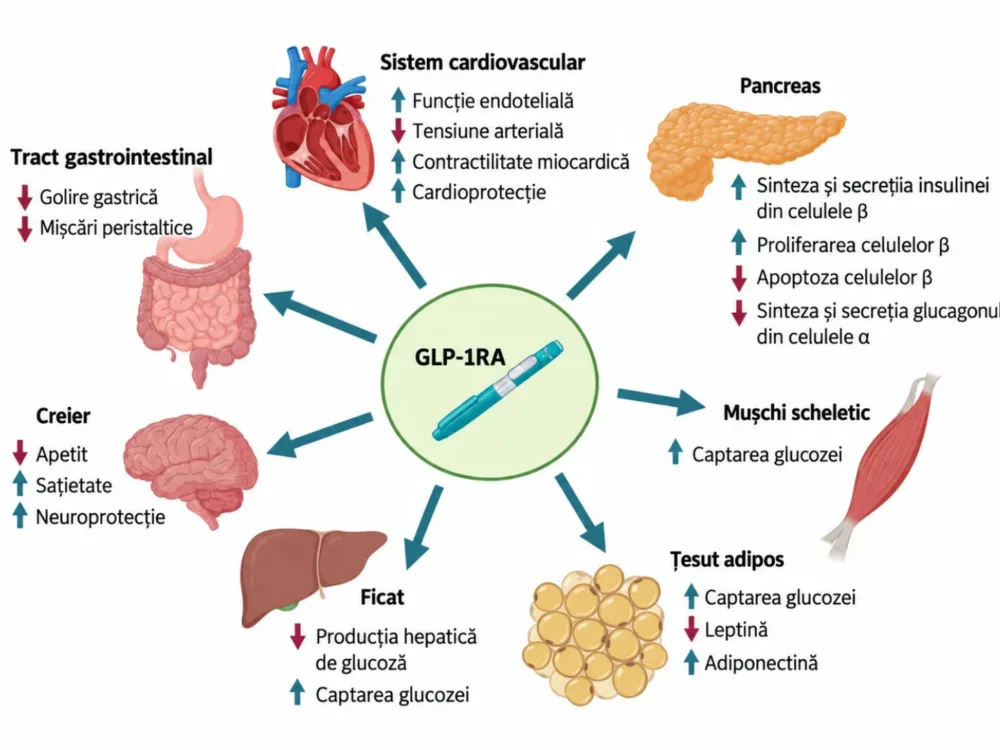 GLP-1 și inflamația